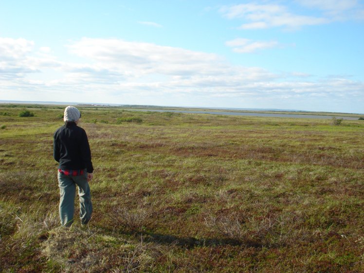 341442_1470103928942_6406563_o