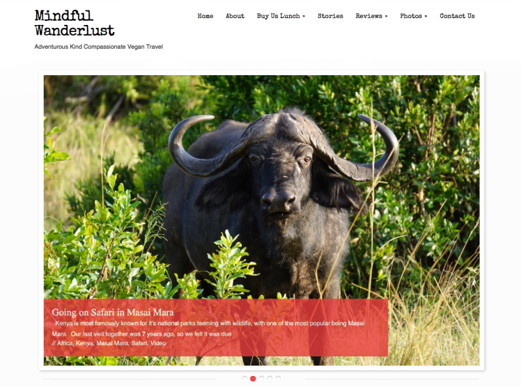 Screen Shot 2017-05-03 at 8.56.25 PM.png